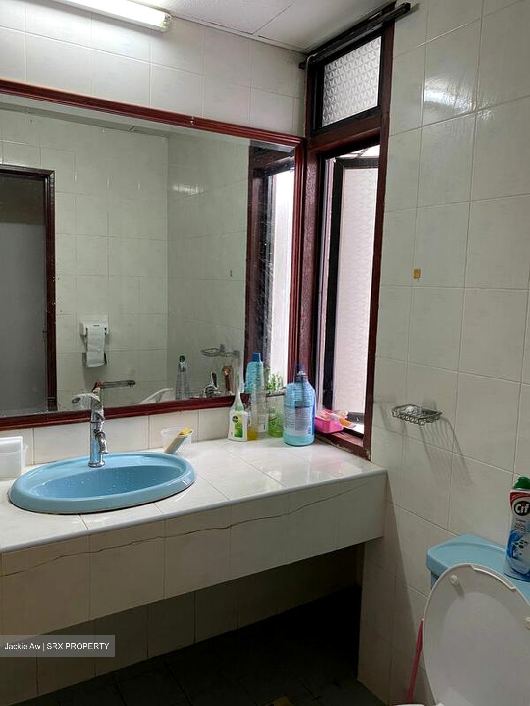 Tan Tong Meng Tower (D11), Apartment #497846631